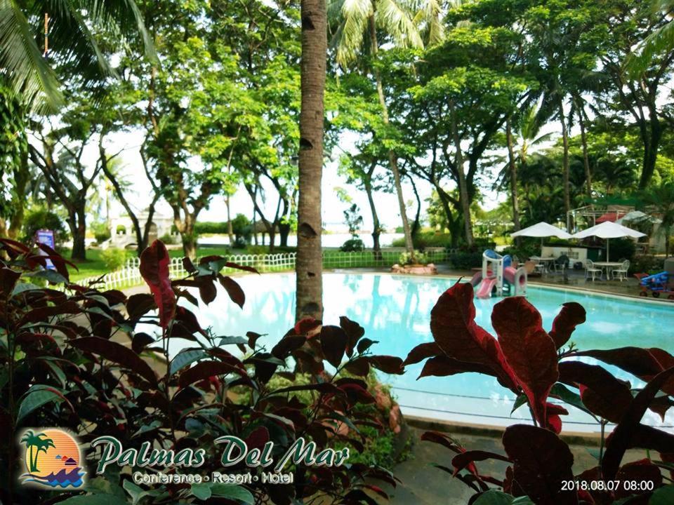 Hotel Palmas Del Mar Bacolod Esterno foto